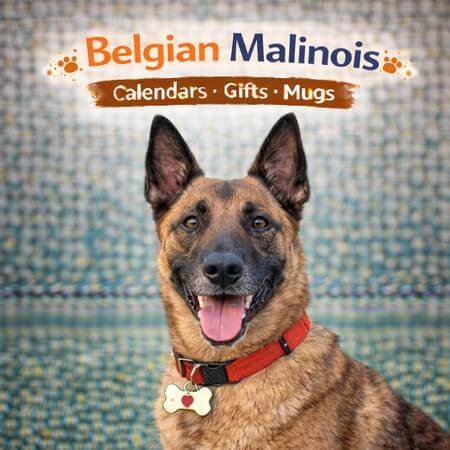 Belgian Shepherd Store