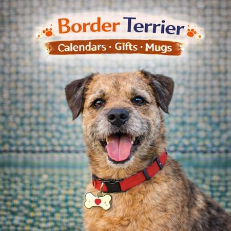 Border Terrier Store