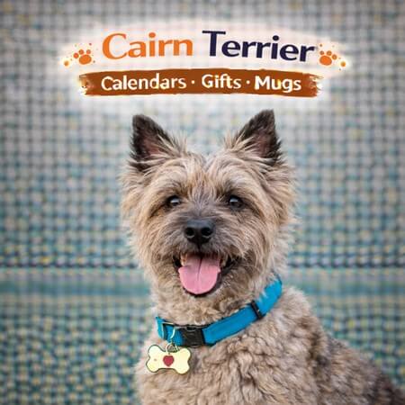 Cairn Terrier Store