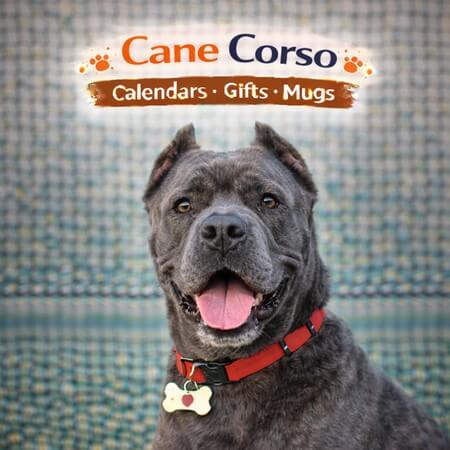 Cane Corso Store