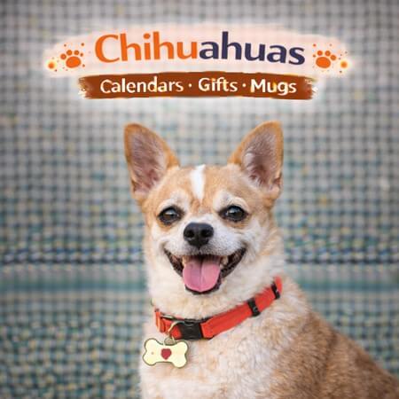 Chihuahuas Store