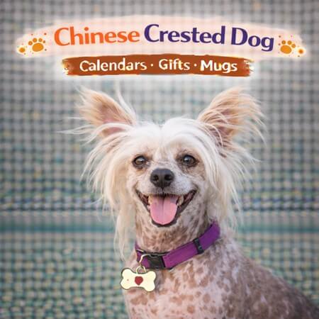 Chinese Crested Dog Store