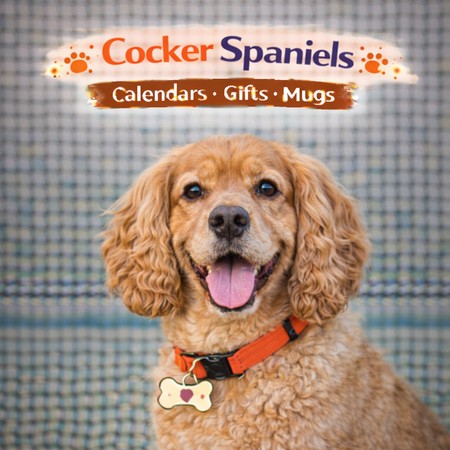 Cocker Spaniel Store
