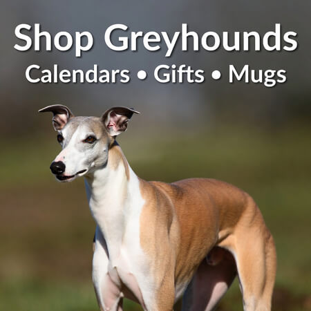 Shop Greyhounds