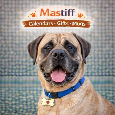 Mastiffs Store