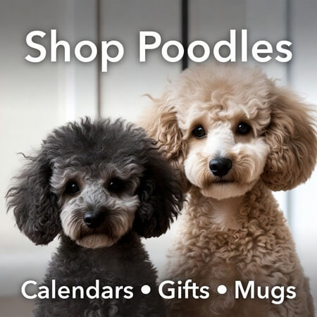 Poodles Shop