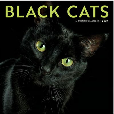 Black Cats 2027 Calendar