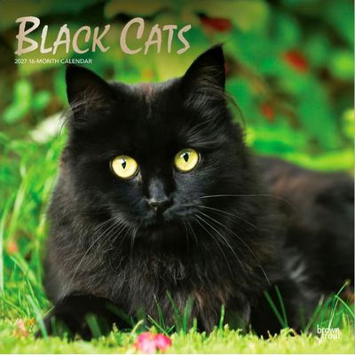 Black Cats 2027 Wall Calendar