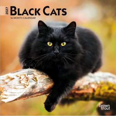 Black Cats 2027 Mini Wall Calendar