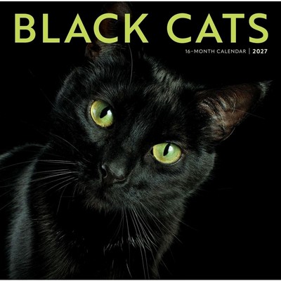 Black Cats 2027 Wall Calendar