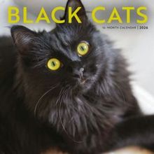 Black Cats 2026 Wall Calendar