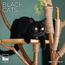 Black Cats 2026 Calendar