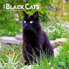 Black Cats 2026 Calendar