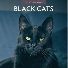 Black Cats 2026 Calendar
