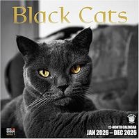 Black Cats 2026 Calendar