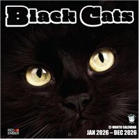 Black Cats 2026 Calendar