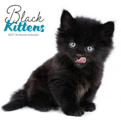 Black Kittens 2027 Calendar
