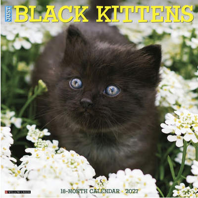 Black Kittens 2027 Calendar