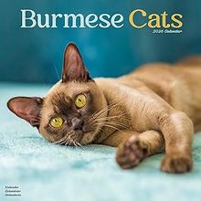 Burmese Cats Calendars
