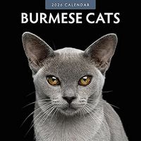 Burmese Cats 2026 Calendar