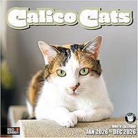 Calico Cats 2026 Calendar