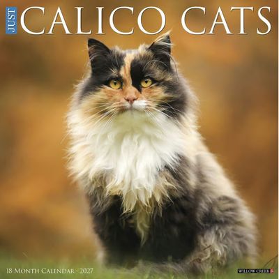 Calico Cats 2027 Calendar