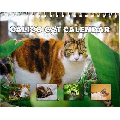 Calico Cats 2027 Calendar