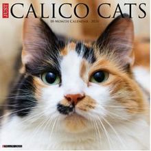 Calico Cats 2026 Calendar