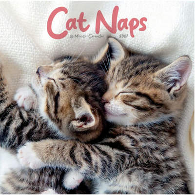 Cat Naps 2027 Wall Calendar