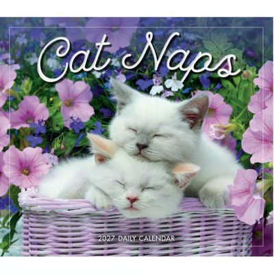 Cat Naps 2027 Desk Calendar