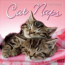 Cat Naps 2026 Calendar