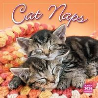Cat Naps 2026 Wall Calendar