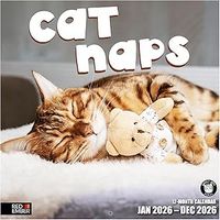 Cat Naps 2026 Wall Calendar