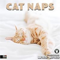 Cat Naps 2026 Wall Calendar