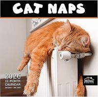 Cat Naps 2026 Wall Calendar