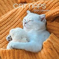 Cat Naps 2026 Wall Calendar