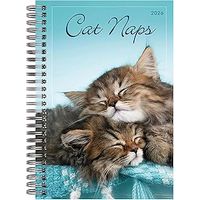 Cat Naps 2026 Weekly & Monthly Planner, 16-Month Engagement Calendar