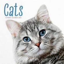 Cats 2026 Wall Calendar