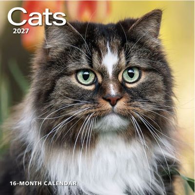 Cats 2027 Wall Calendar