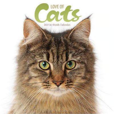 Love at Cats 2027 Wall Calendar