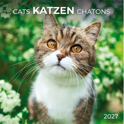 Cats 2027 Wall Calendar