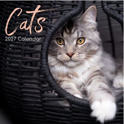 Cats 2027 Wall Calendar