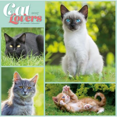 Cats 2027 Wall Calendar