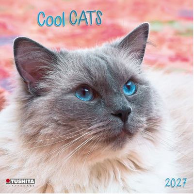 Cool Cats 2027 Wall Calendar