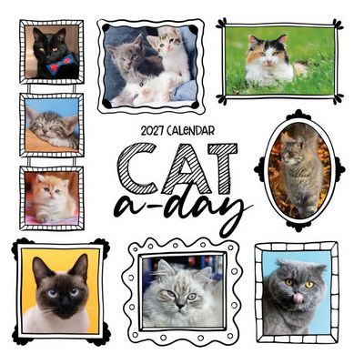 Cat-A-Day 2027 Wall Calendar