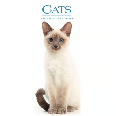 Cats 2027 Vertical Wall Calendar
