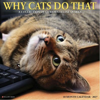 Why Cats Do That 2027 Wall Calendar