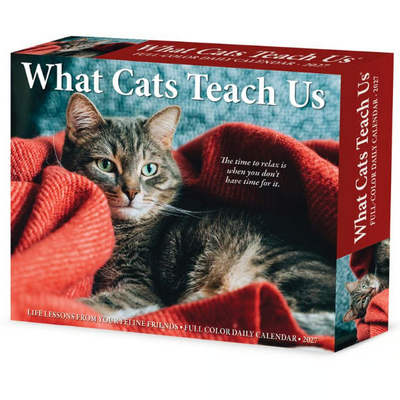 What Cats Teach Us 2027 Desk Calendar