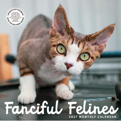 Cats Fanciful Felines 2027 Wall Calendar