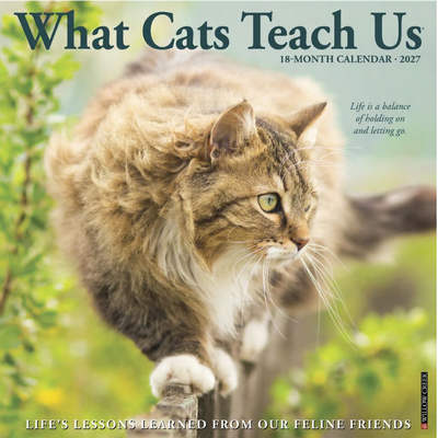 What Cats Teach Us 2027 Wall Calendar